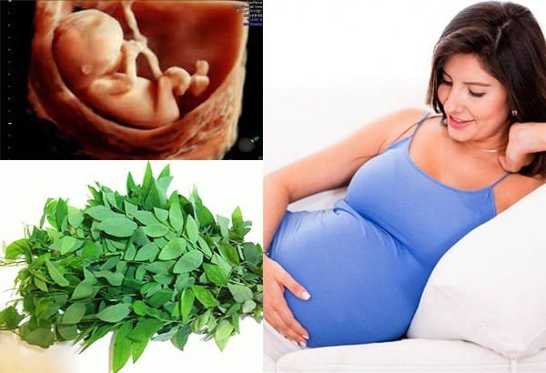 Hỗ trợ quá trình đẩy nhau thai ra khỏi tử cung bằng cách ăn rau ngót hoặc xay lấy nước rau ngót để uống, ăn đu đủ xanh,...